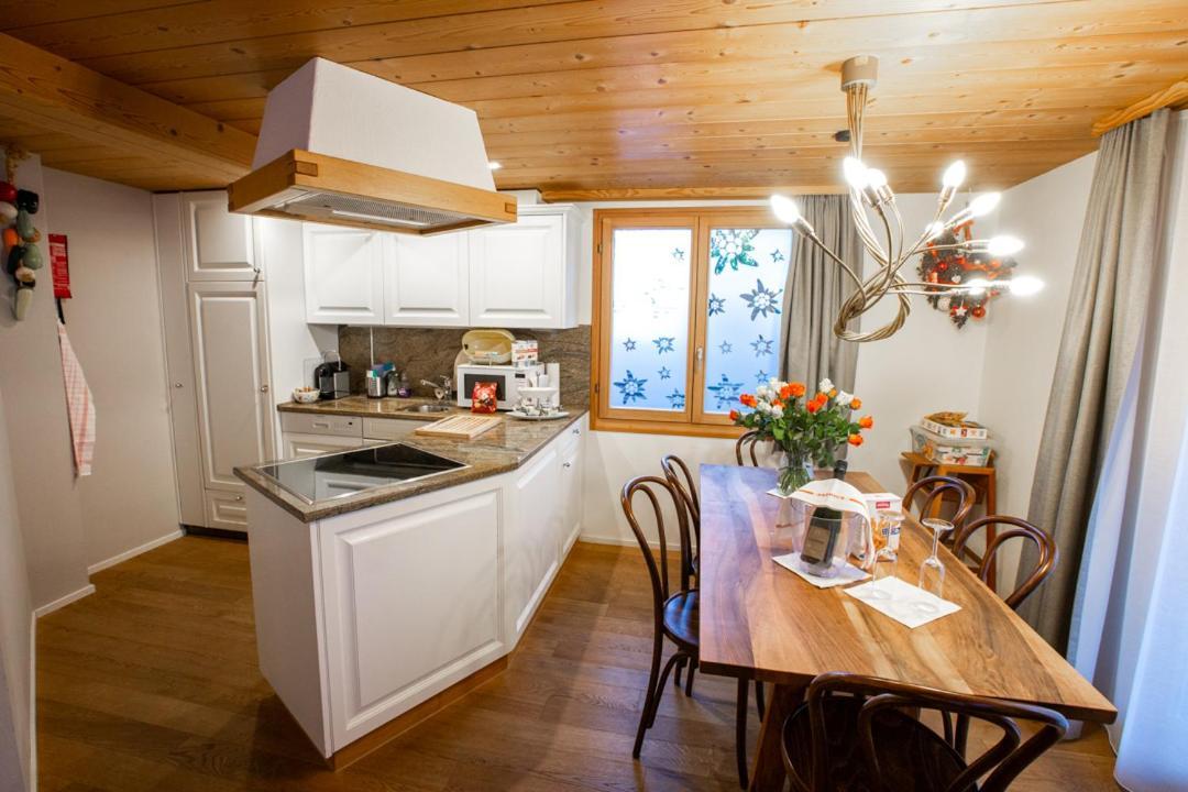 Apartments Chalet Wirz Travel 萨尔嫩 外观 照片